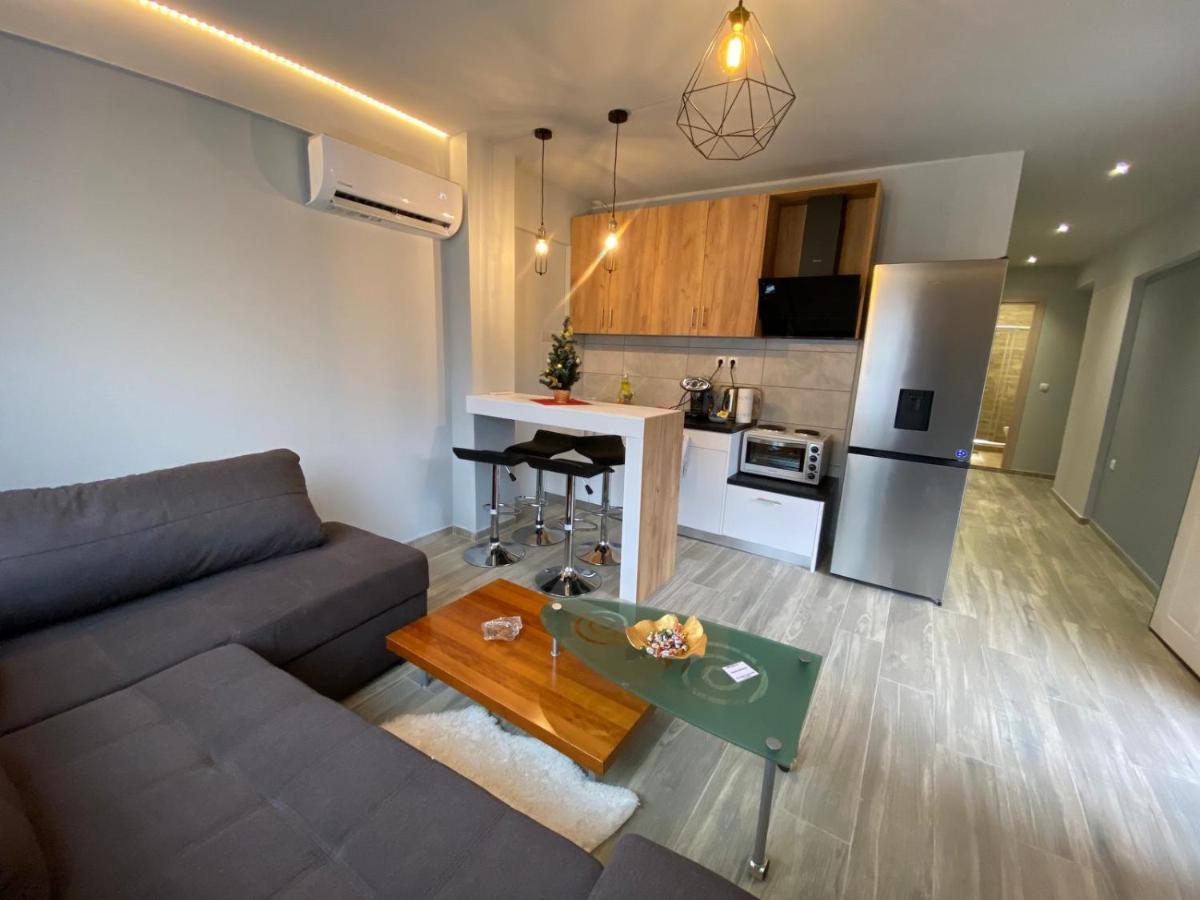 Alexandras Cozy Apartment Ioánnina Exteriör bild